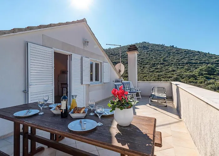 Pet Friendly In Zrnovska Banja * Korčula