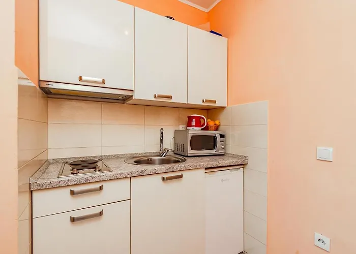 Pet Friendly In Zrnovska Banja * Korčula