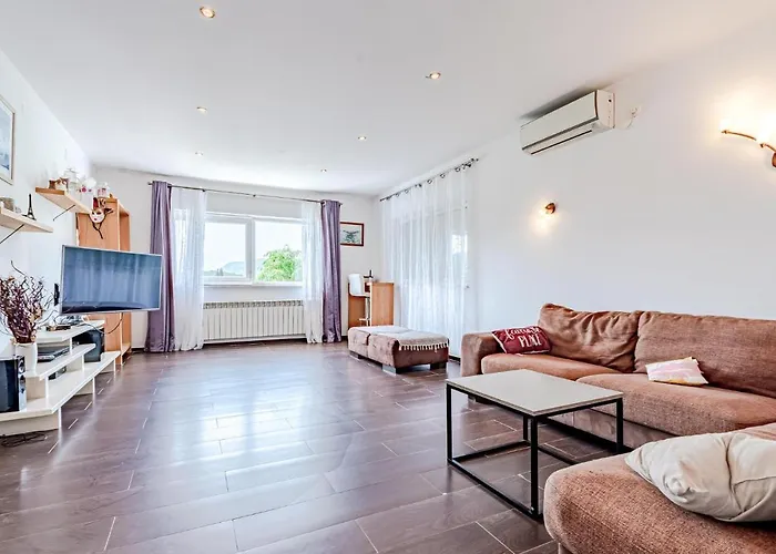 Pet Friendly In Zrnovska Banja Korčula