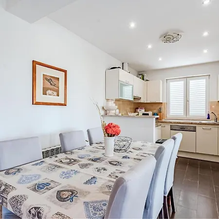 Pet Friendly In Zrnovska Banja * Korčula