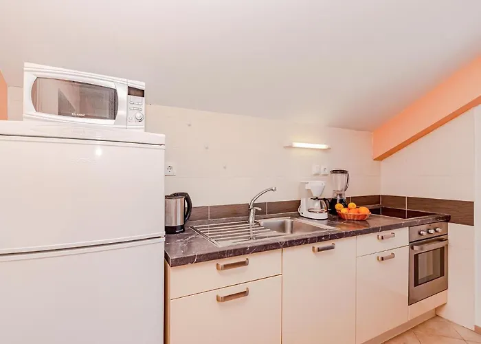 Pet Friendly In Zrnovska Banja